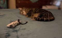 IMG_9119.jpeg