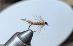 PXL_20260430_060103703.jpg