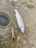 IMG_3891.jpeg