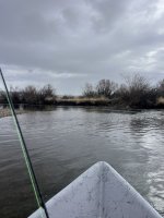 IMG_8124.jpeg