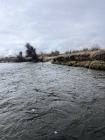 IMG_8126.jpeg