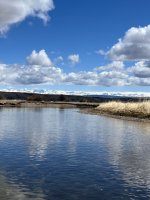 IMG_8129.jpeg