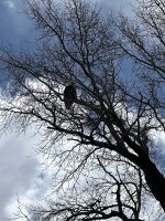 IMG_8140.jpeg