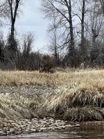 IMG_8143.jpeg