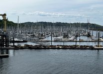 IMG_6679.jpeg