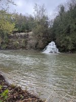 IMG_0439.jpeg IMG_0439.jpeg