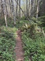 IMG_4025.JPG