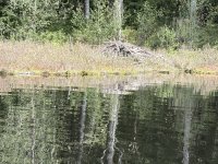 IMG_4032.JPG