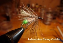 LaFontaine_Diving_Caddis.jpg