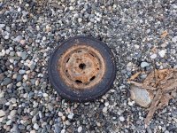IMG_6689.jpeg