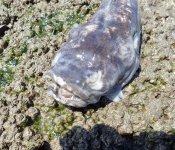 IMG_6696.jpeg