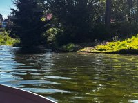 IMG_6529.jpeg
