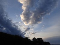 IMG_6684.jpeg