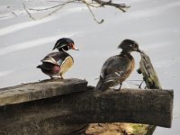 IMG_5345.JPG