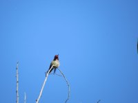 IMG_5407.JPG
