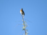 IMG_5421.JPG