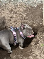 IMG_0798.jpeg
