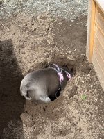 IMG_0796.jpeg