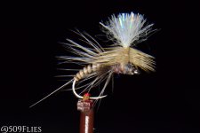 DSC_0163.jpg