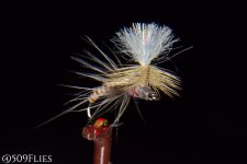 DSC_0165 - edit 1 (1).jpg