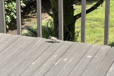 0424BE35-8C3E-4D32-8155-A80E972CC523.jpeg