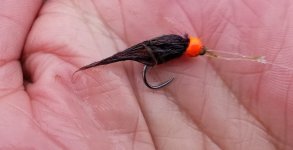 20220430_blksimileech.jpg