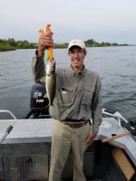 um_walleye.jpg um_walleye.jpg