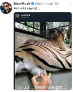 1651584325737.png