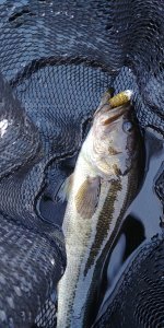 20180918_185809.jpg 20180918_185809.jpg