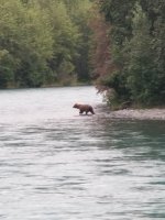 20210723_203948.jpg 20210723_203948.jpg