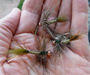 Clousers swimming nymph - carp variation.JPG Clousers swimming nymph - carp variation.JPG
