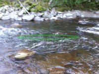 20130918_164944-30pct.jpg 20130918_164944-30pct.jpg