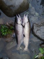 20130923_180753.jpg 20130923_180753.jpg