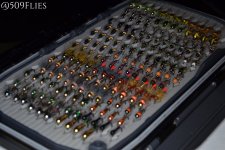 DSC_0157 - edit 1 (1).jpg