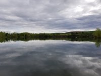 20220506_101614.jpg 20220506_101614.jpg