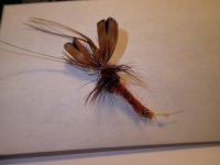 crawfish.JPG crawfish.JPG