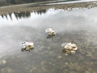 IMG_6411.jpeg