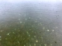 IMG_6409.jpeg IMG_6409.jpeg