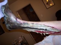 1footleg3.jpg