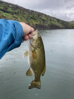 IMG_2652.jpg