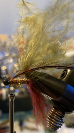 BB922295-78E2-46D8-A00D-7121CC95260D.png