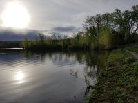20220508_070003.jpg 20220508_070003.jpg