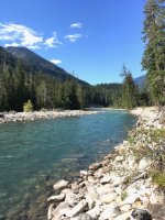 IMG_0950.jpg