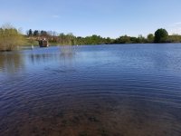 20220508_073151.jpg 20220508_073151.jpg
