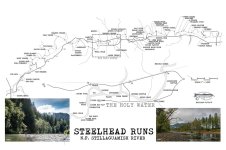stilly steelhead runs.jpg