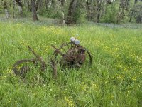 IMG_5828.jpeg