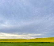IMG_4080.jpeg