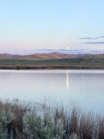IMG_8827.jpeg
