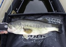 IMG_6795.jpeg