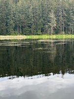 IMG_1518.jpeg